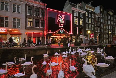 casa rosso amsterdam|casa rosso reviews.